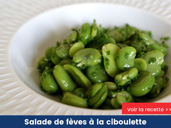 Salade de fèves à la ciboulette